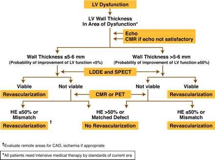 Algorithm of Management of Patients with Ischaemic LV