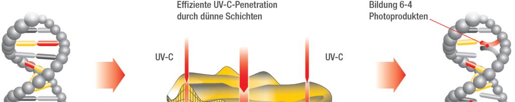 THERAFLEX UV-Platelets Efficient UVC penetration through mixing and a thin