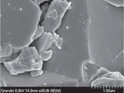 1 The field of view of this SEM did not include any of the prepolymerized filler, but focused instead on the individual silica aggregates. Note that the particles appear to be in the.