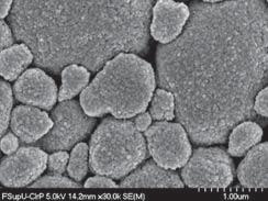 Although structurally different from densified particles, these nanoclusters behaved similarly to the densified particles found in other composites in terms of providing high filler loading.
