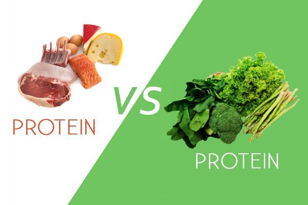 Quality Choose healthy, lean sources of both animal and plant based protein Animal sources of protein are considered the highest sources of quality protein Plant sources of
