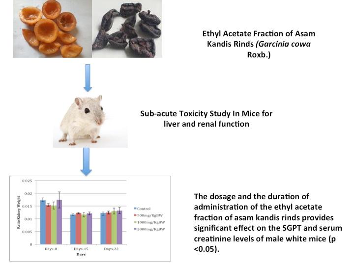 PICTORIAL ABSTRACT SUMMARY The ethyl acetate fraction of asam kandis rinds provides significant effect on the SGPT and serum