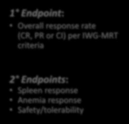 rate (CR, PR or CI) per IWG-MRT criteria 2 Endpoints: Spleen response