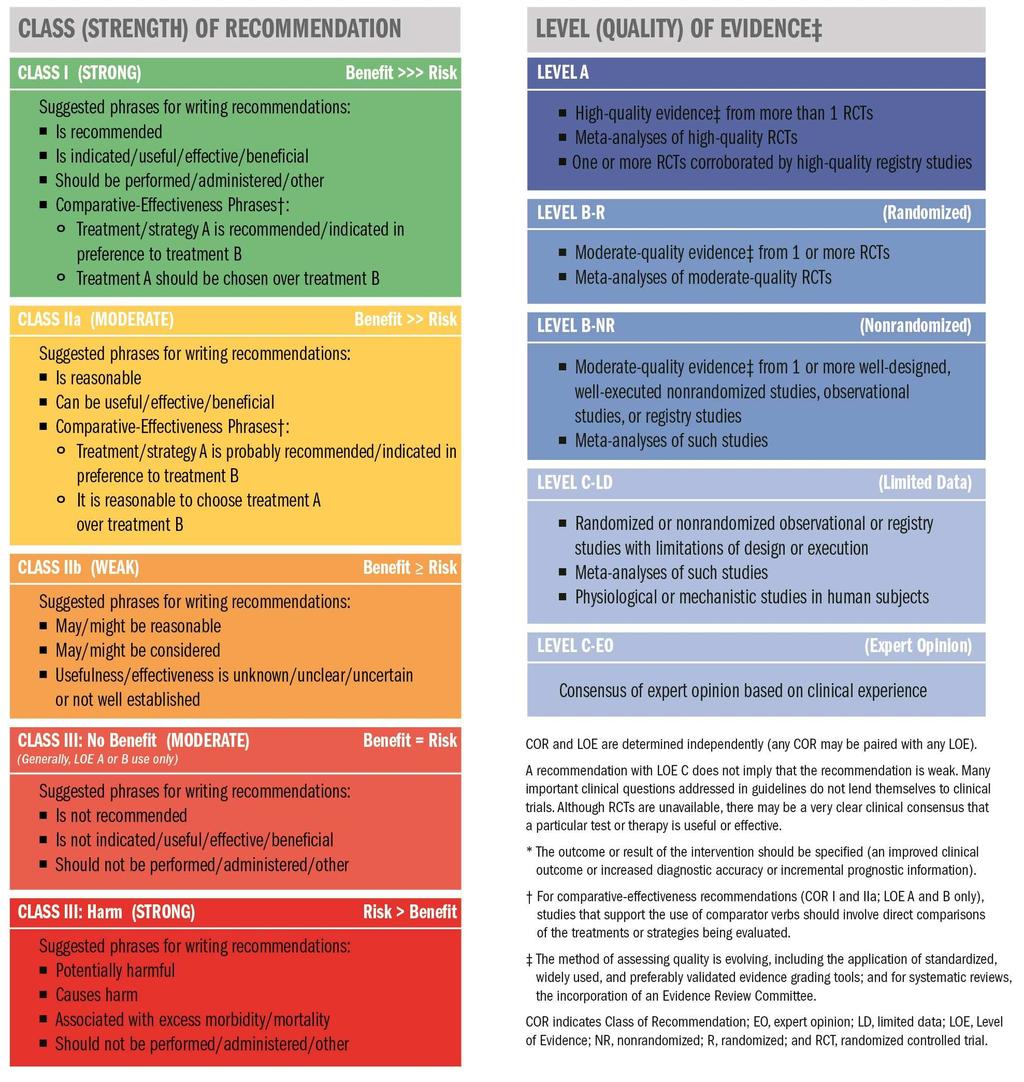 Table 1. Applying Class of Recommendation and Level of Evidence to Clinical Strategies, Interventions, Treatments, or Diagnostic Testing in Patient Care* 1. Introduction 1.1. Methodology and Evidence Review The recommendations listed in this guideline are, whenever possible, evidence based.