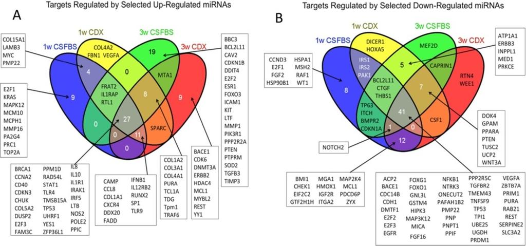 Ottman et al. Molecular Cancer 2014, 13:1 Page 11 of 21 targets, such as E2F3 is targeted by mir-1244, mir-596, mir-18a-5p, mir-16-5p and mir-17-5p. EGFR is also targeted by mir-7a-5p and mir-16-5p.
