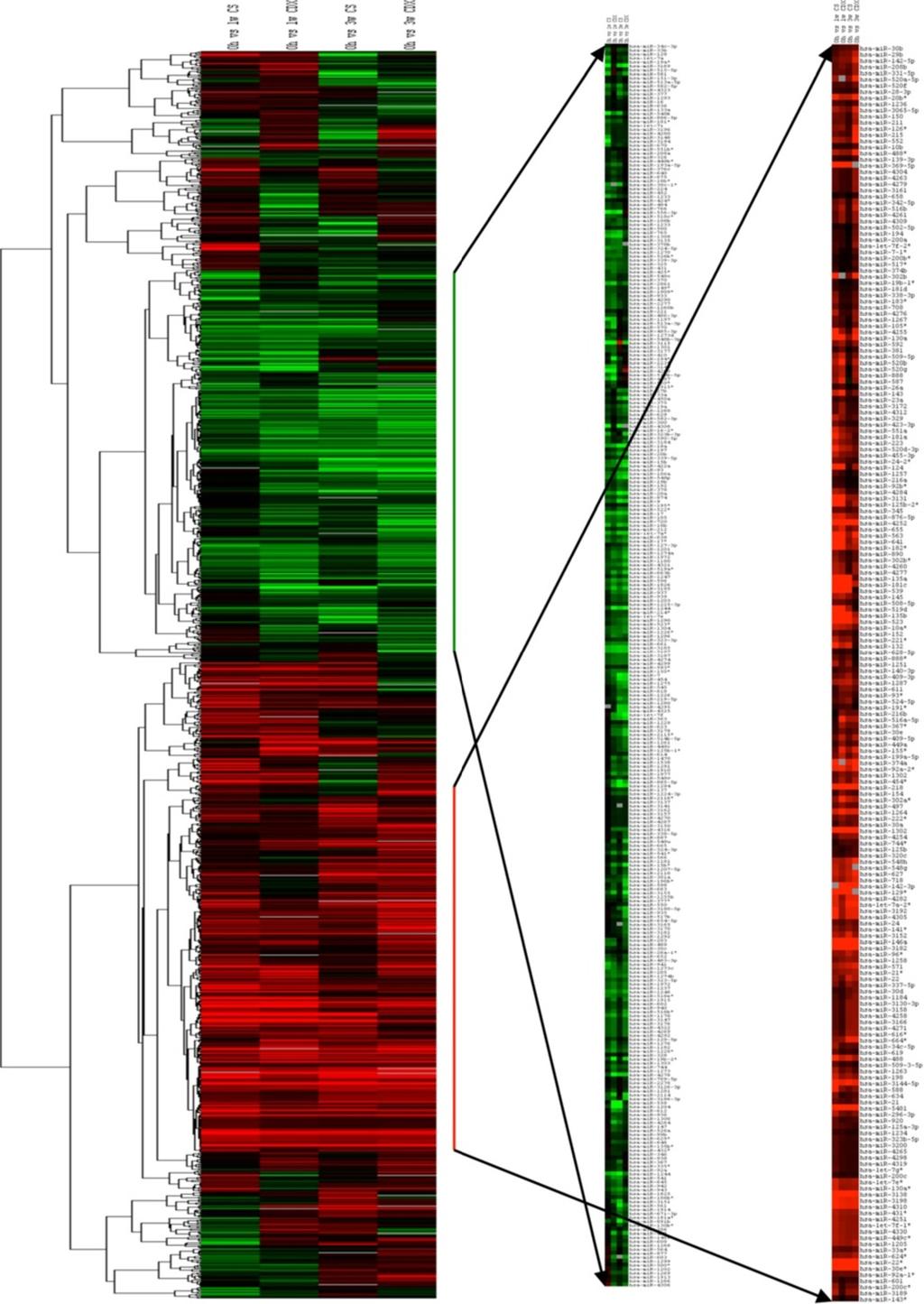 Ottman et al. Molecular Cancer 2014, 13:1 Page 4 of 21 Figure 2 Cluster analysis of fold change in expression of mirnas in different treatment conditions.