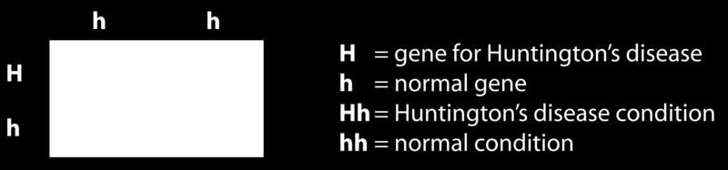 A heterozygous parent can be represented by Dd. Remember that an uppercase letter always stands for the dominant allele and a lowercase letter always stands for the recessive allele.
