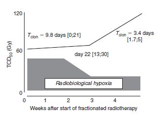 Repopulation: Describes the proliferation of surviving clonogenic tumour cells during fractionated radiotherapy.