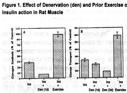 The concentration of malonyl CoA in the incubated rat soleus muscle is acutely sensitive to changes in medium glucose and insulin concentration (4).