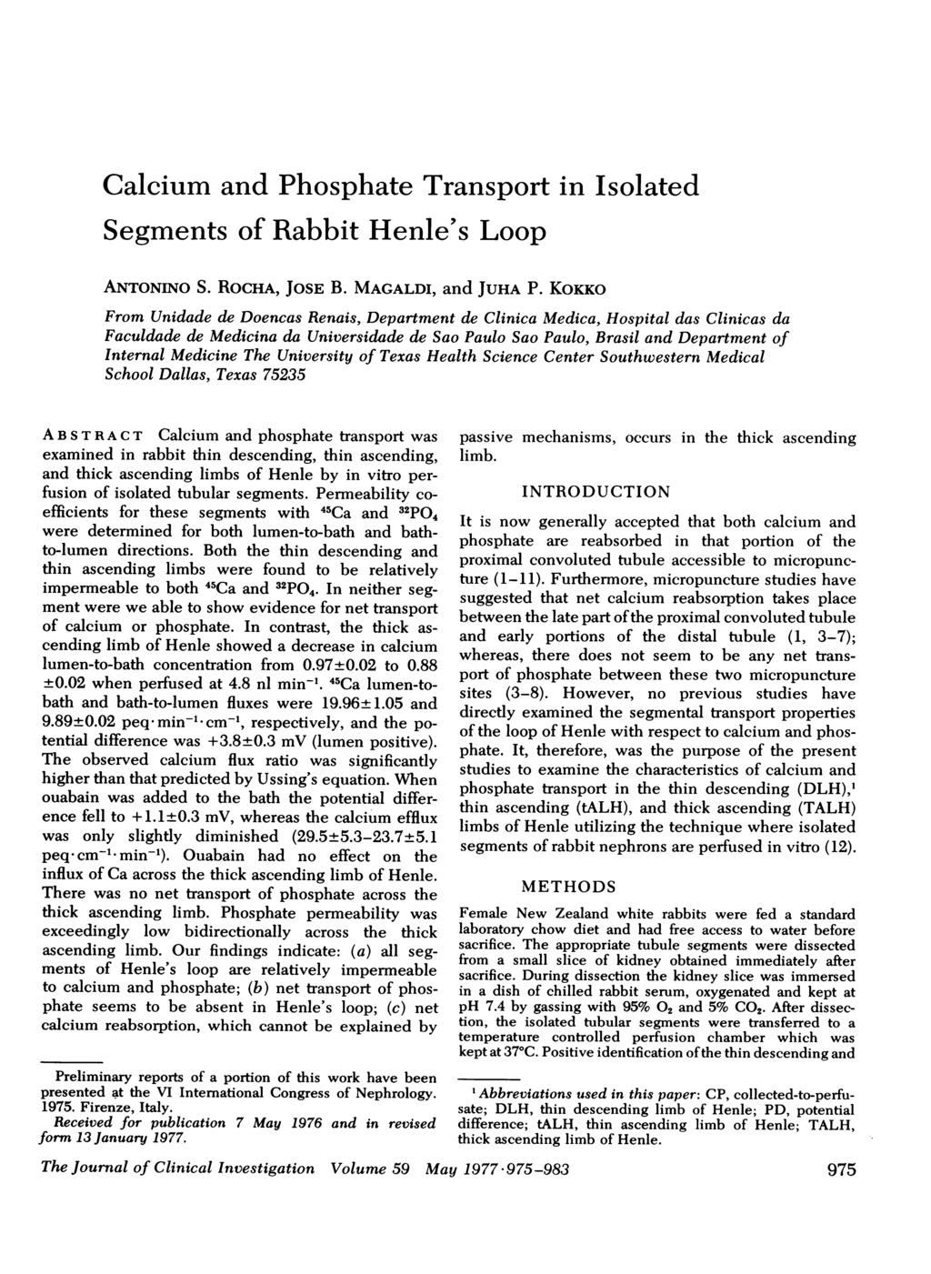Calcium and Phosphate Transport in Isolated Segments of Rabbit Henle's Loop ANTONINO S. RocHA, JOSE B. MAGALDI, and JUHA P.