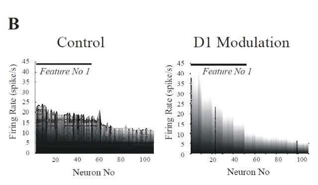 Figure 2: A. Delay activity after a cue input of 250 ms in a network of 1000 pyramidal cells and 200 interneurons. Right: nonmodulated neurons, mean firing rate 5Hz (background activity).
