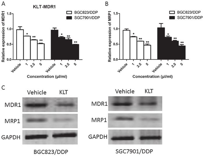 1792 ZHANG et al: KANGLAITE AND MDR IN GASTRIC CANCER CELLS Figure 2. KLT suppressed the expression of drug resistance related proteins.