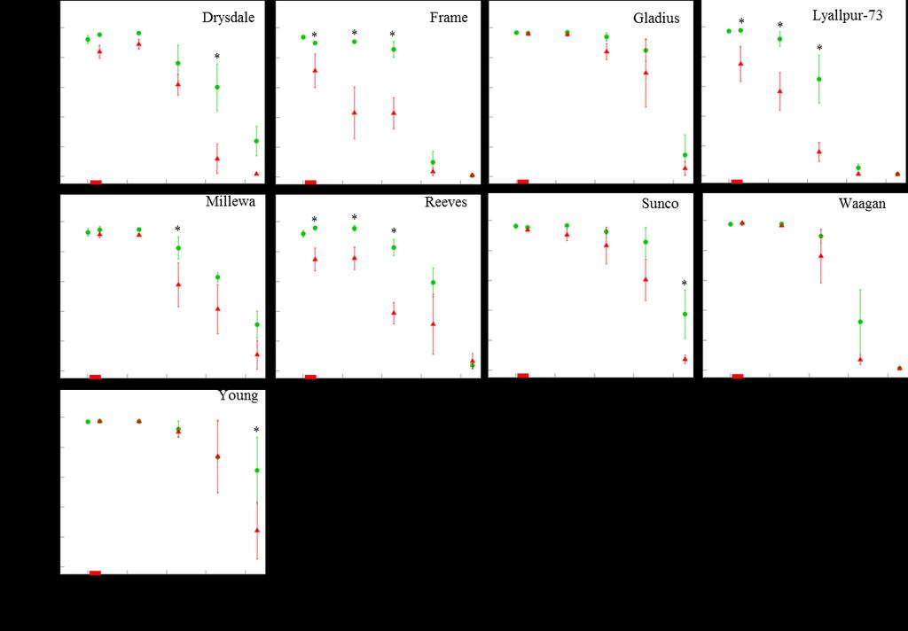 Fig. S3. Time courses of flag leaf chlorophyll a content (Chla) in control (green circles) and heat-treated plants (red triangles) of 9 bread wheat genotypes (mean ± s.e.). Asterisks indicate where there are significant differences between treatments at P < 0.