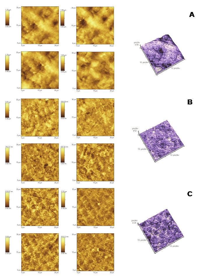 The Atomic Force Microscopy could analyze the topographical aspects of enamel samples and the effects of the demineralization/remineralization processes on the enamel morphology, in the presence of