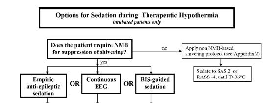 Sedation Deep, antiepileptic sedation, or Light sedation with ceeg, or BIS-guided sedation Seizures