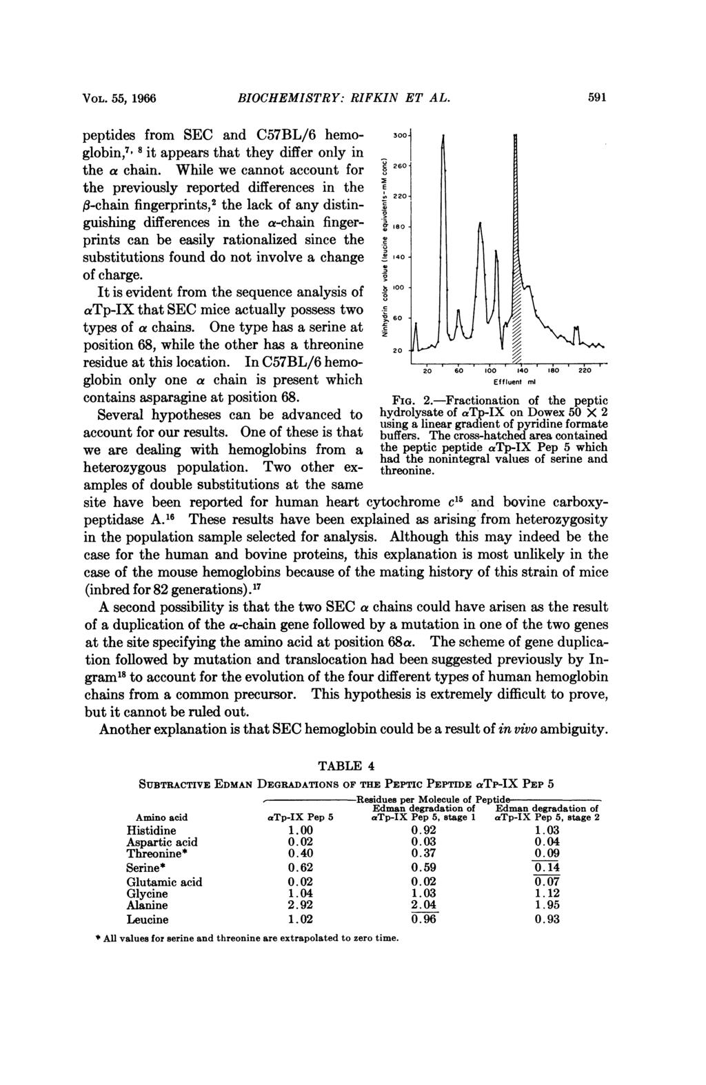 VOL. 55, 1966 BIOCHEMISTRY: RIFKIN ET AL. 591 peptides from SEC and C57BL/6 hemo- 300 globin,7 8 it appears that they differ only in the a chain.