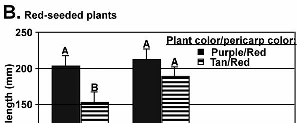 Inoculation of each plant color/pericarp color phenotype with sterile broth resulted in mean measurements significantly less than those following inoculation with F. moniliforme (P < 0.