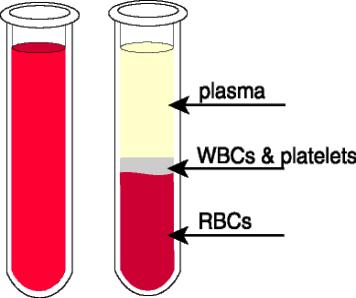 Fluid made up of 55% liquid plasma Plasma is made up of water and 45% floating cells - contains dissolved proteins, lipids,