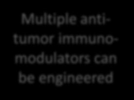 Live drug Tumor recognition independent of HLA (no HLA typing needed) Multiple antitumor