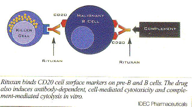 Anti-CD20 Monoclonal Antibodies in Treatment of B-Cell Lymphoma/Leukemia Rituxan#, Zevalin# (Yttrium 90 Radio-isotope