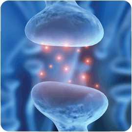 Neurotransmitters Chemical messengers in the nervous system There are many different