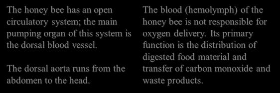 Circulatory System The honey bee has an open circulatory system; the main