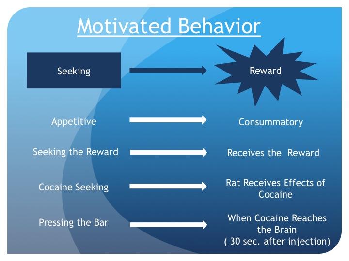 Page 3 Two Phases of Motivated Behavior Motivated behavior refers to behavior related to receiving a reward or reaching a goal. There are two phases of motivated behavior.