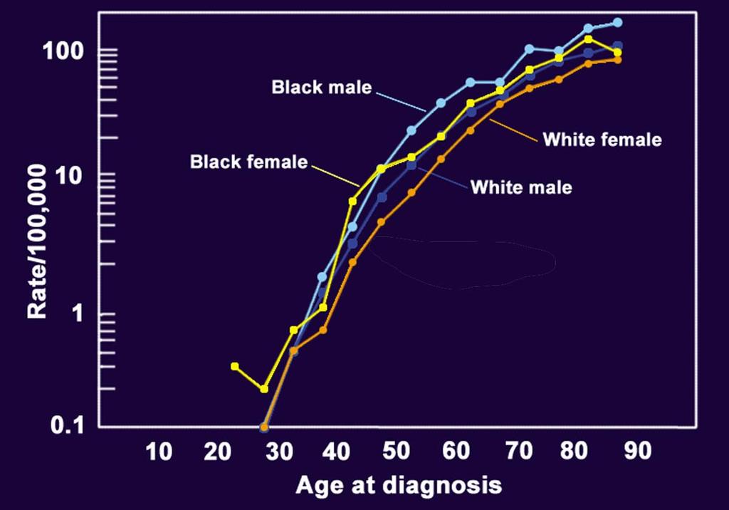 Annual Pancreatic Cancer Incidence Rates by Age, Race,