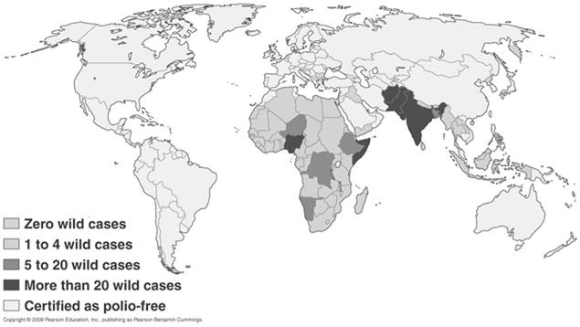 Viral Diseases Polio World Map Look-