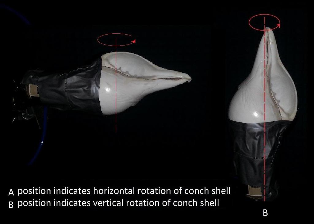 Figure 6 shows the experimental set up in the anechoic chamber. Figure 6 Set Up of Conch Shell Mounted as Horizontal Rotation in an Anechoic Chamber.