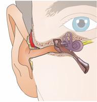 Ear Disorders and Problems Introduction Your ear has three main parts: outer, middle and inner. You use all of them to hear. There are many disorders and problems that can affect the ear.