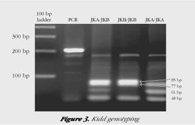 Jk a or Jk b antigens on the RBC you also have Jk 3 antigen.