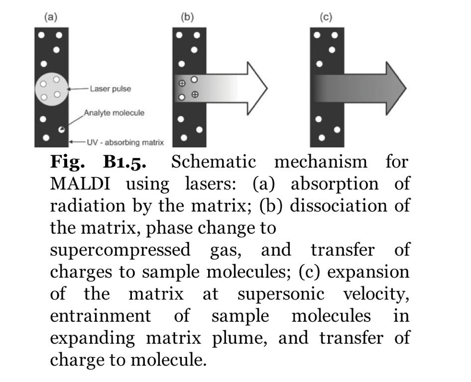 MALDI Absorption of laser UV Ionization of