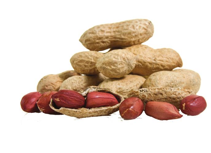 Protein Peanuts contain about 8g of protein per ounce, which is more than any other nut. 5 Actual vs.