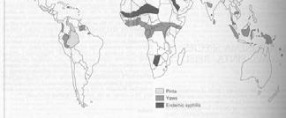 Map of endemic treponemal diseases Pinta: Treponema