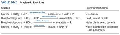carboxylation of pyruvate by CO 2 to form oxaloacetate The enzymatic addition requires energy which is supplied by ATP The reaction also requires the vitamin biotin which is the prosthetic group of