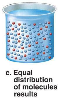 four) Cut cubes in following order: 3x3x3 2x2x2 1x1x1 Immerse each cube in a beaker