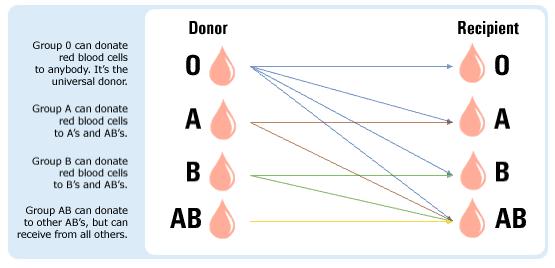 blood type to donate blood to our donor?
