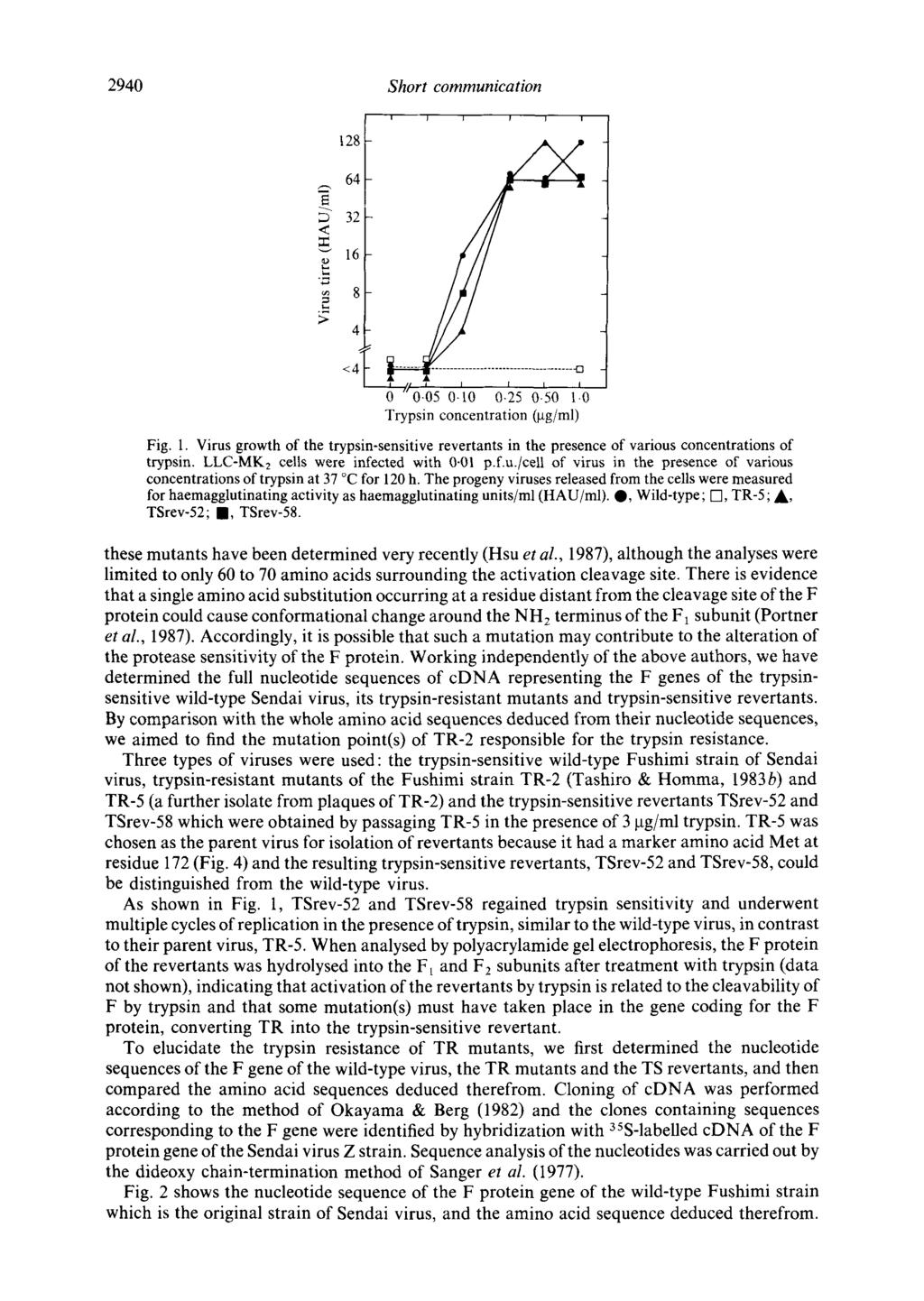 2940 Short communication t28 i l i J i i 64 < 32 m v 16 -,~ ~ 8 4 <4... I ; //0-05 O-'lO 0-25 0.50 1.0 Trypsin concentration (gg/ml) Fig. 1. Virus growth of the trypsin-sensitive revertants in the presence of various concentrations of trypsin.