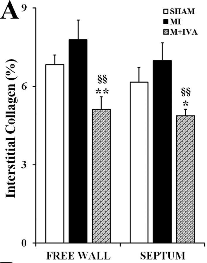 content of interstitial content collagen of interstitial (A) and the collagen density of mast cells (B) in the left