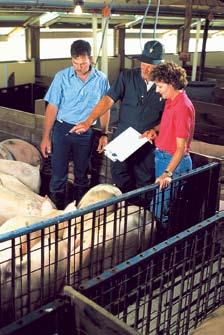Enforce strict biosecurity from service providers including dead stock transporters, utility personnel, etc. Designate and enforce the use of clean, farm-specific clothing and boots.
