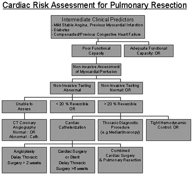 2. Preanesthetic Assessment for Thoracic Surgery 21 Fig. 2.15. An algorithm for cardiac risk assessment prior to noncardiac thoracic surgery based on Fleisher et al. [34] (see text).