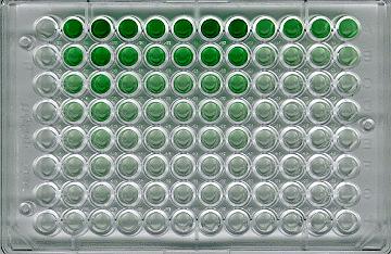 Technique Incubate microplate s wells with a capture antibody to fix it to the surface.