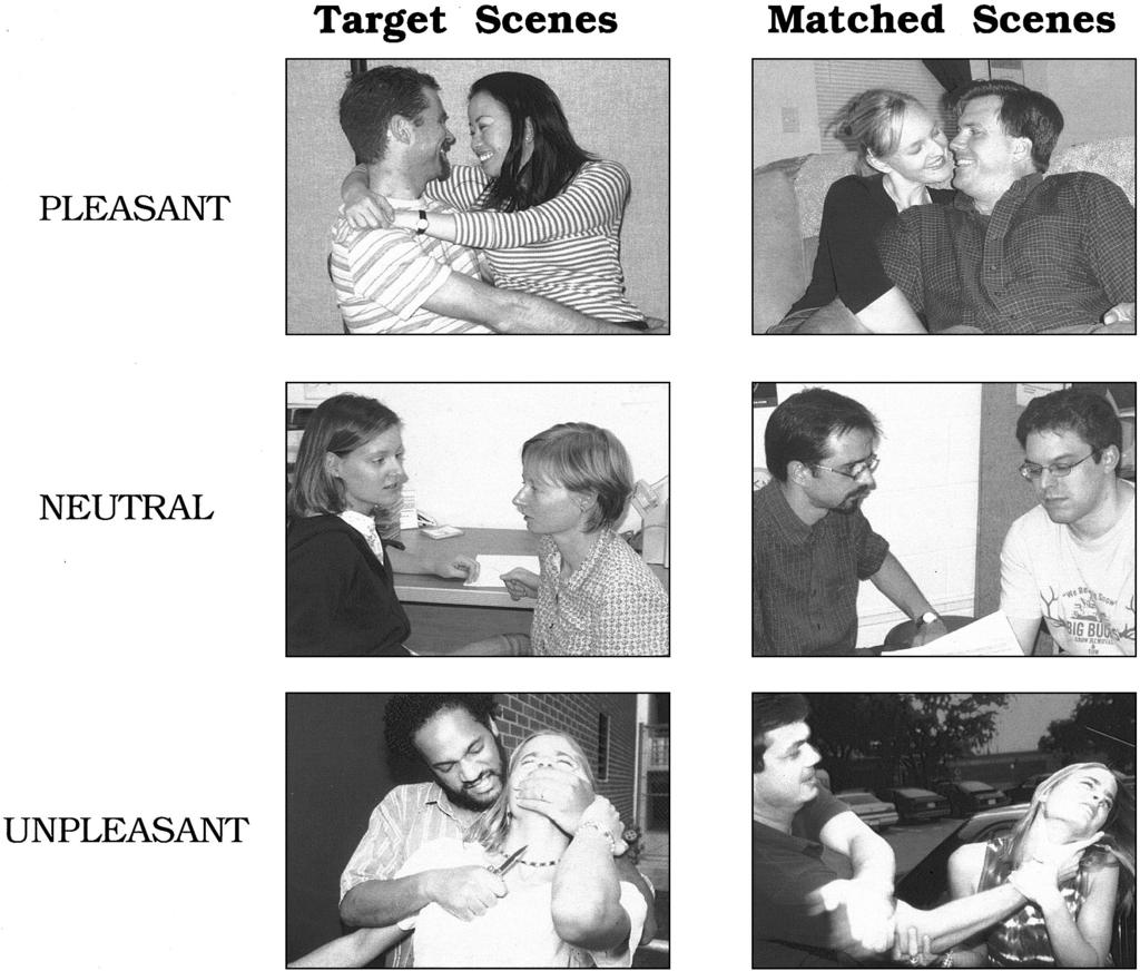 508 CALVO AND LANG Figure 1. Examples of target and matched (or related in content) neutral and emotional scenes.