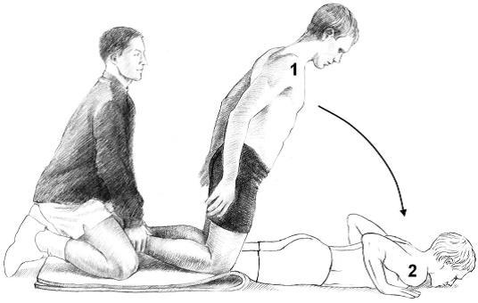 Nordic hamstring exercise program: The complete initial program includes a 10-week exercise progression, advancing from 1 to 3 weekly training sessions, and with increasing number of sets and