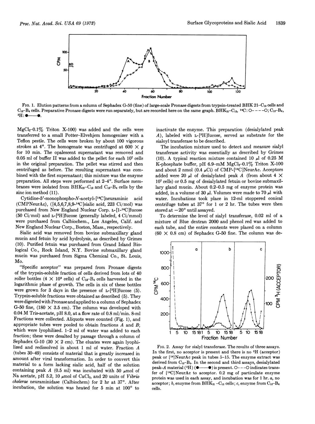Proc. Nat. Acad. Sci. USA 69 (1972) Surface Glycoproteins and Sialic Acid 18