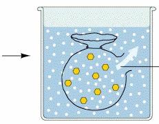 Types of Movement Across Membranes: 1) Passive Transport Requires no