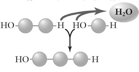ondensation or Dehydration Synthesis bjective 22c The reverse reaction is called hydrolysis. It involves breaking a macromolecule into smaller subunits.