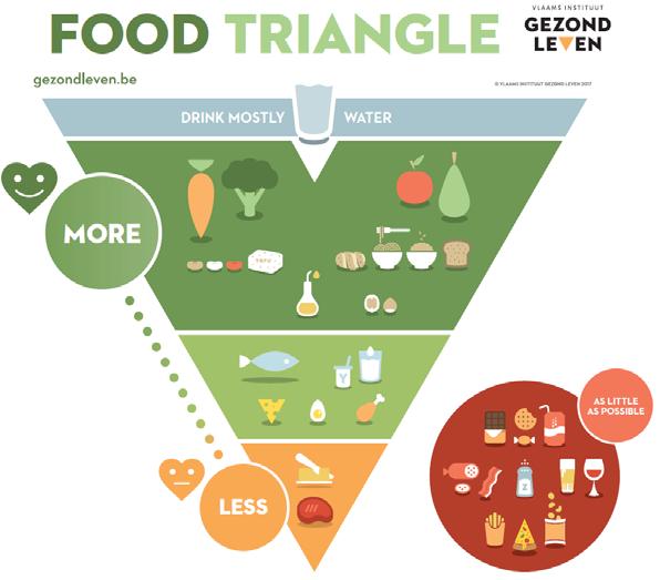 Bleu zone = water Dark green zone = plant-based foods with a positive effect on health: Vegetables, fruit, whole grains, legumes, nuts, seeds, plant oils and other fats rich in unsaturated fats Try