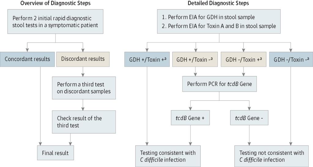 Sample multistep algorithm for rapid diagnosis of C.